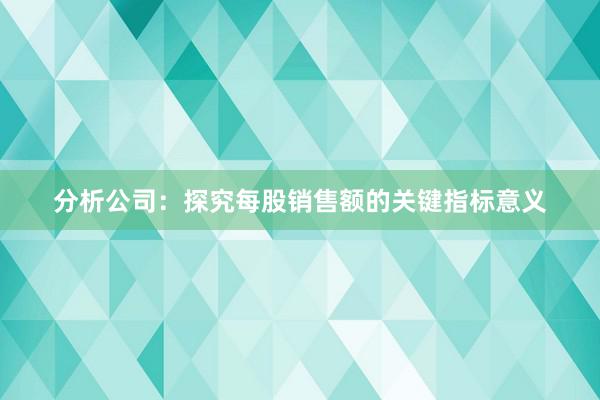 分析公司：探究每股销售额的关键指标意义